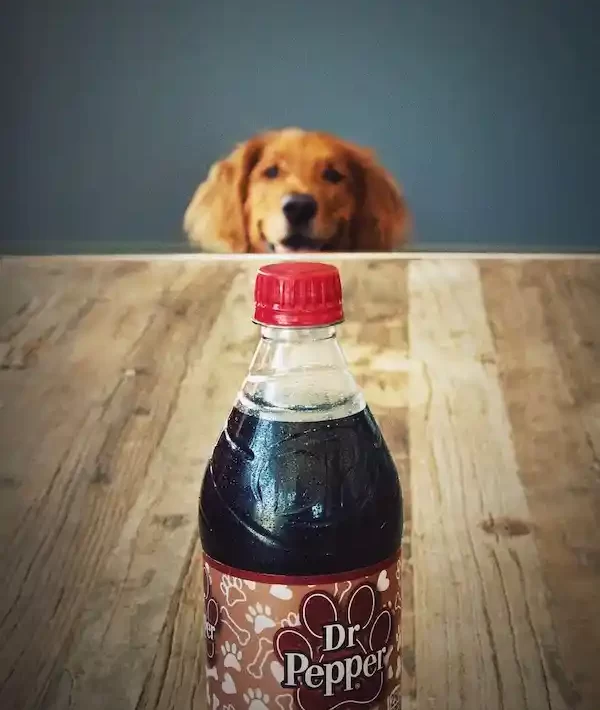 Dr Pepper for dogs