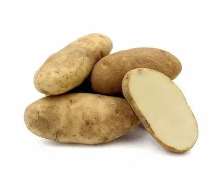 Russet Potatoes